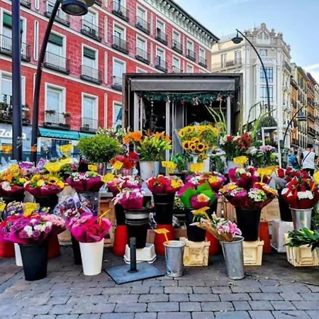 De Lujo Centro B3 Guest house Madrid