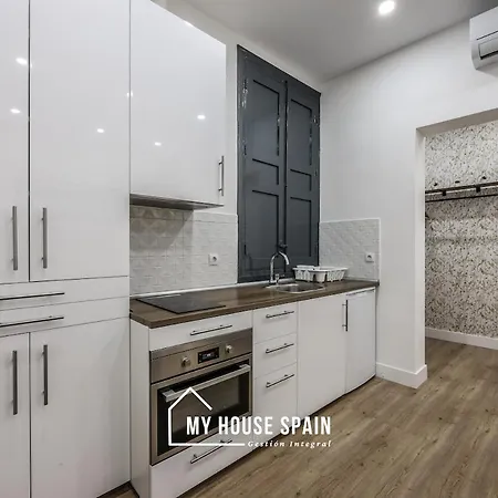 Myhousespain - Nuevo Piso Reformado En Lavapies Apartment *
