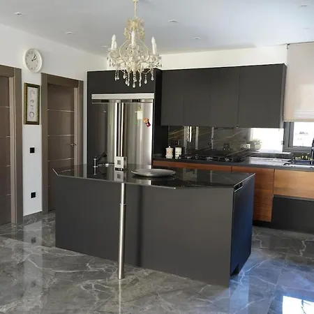 Complete Luxury House With Garden Madrid