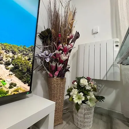 Apartment Ocasional *