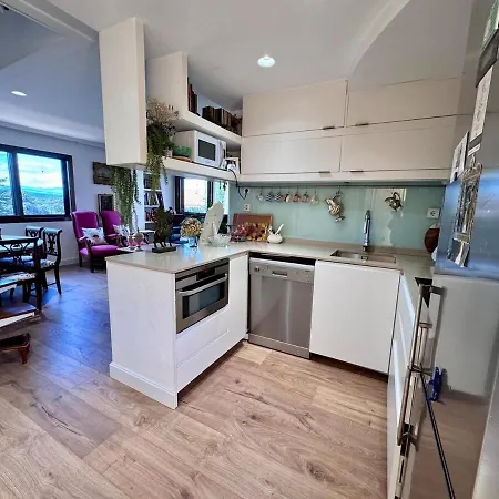 Apartment Duplex Penthouse With Terrace *