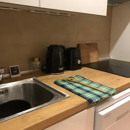 Beautiful, Renovated Loft In The Center Apartment *