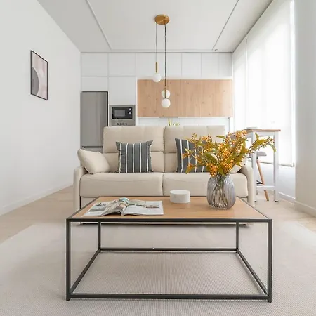 Apartment Modern And Cozy On Paseo De La Castellana Madrid