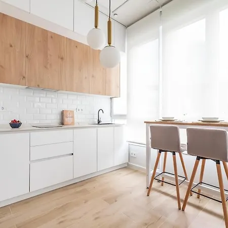 Apartment Modern And Cozy On Paseo De La Castellana Madrid