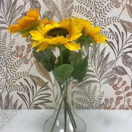 Girasol Apartamento