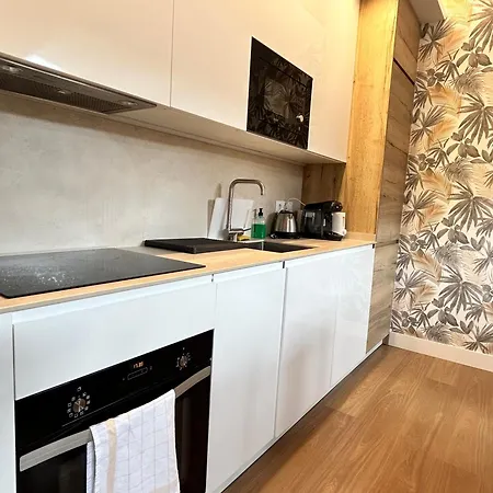 Apartment Near Puerta Del Sol