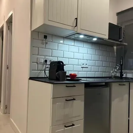 Apartamento In La Latina Madrid
