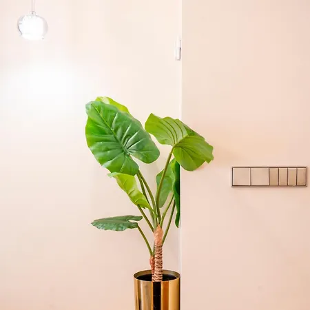 V73 Elegance & Comfort - Luxury In Barrio Salamanca Apartment Madrid