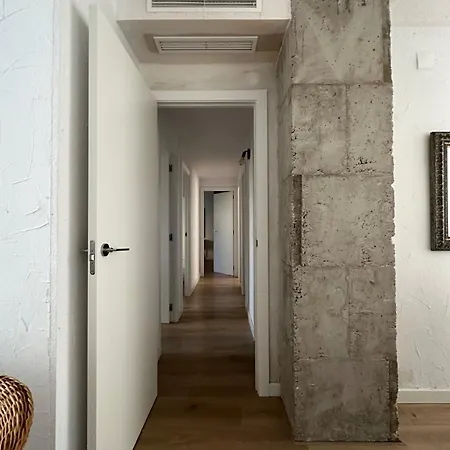 Alquiler Alicante Budahome *