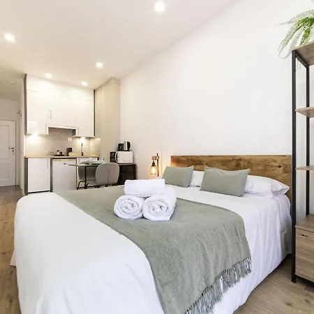 Apartment Luxury Xiv - Ferga Madrid