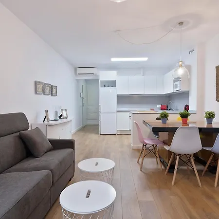 Alcam Palencia Apartamento Madrid