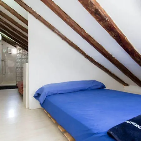 Atico Duplex Loft Lavapies Madrid