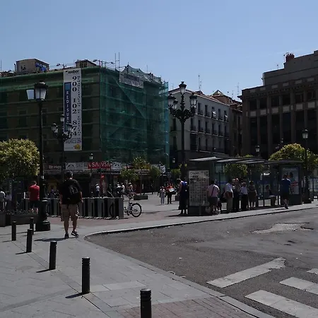Sol Mayor Madrid