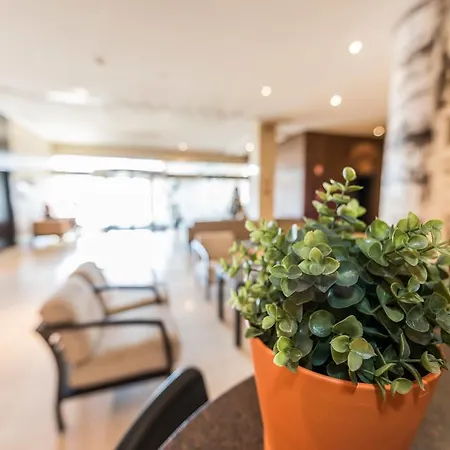 Hotel Mercader Madrid