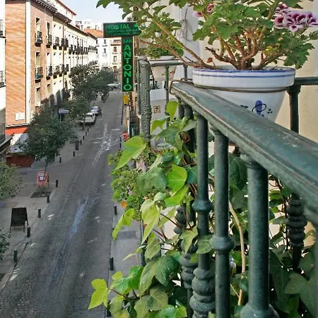 San Antonio Madrid
