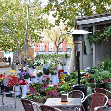Far Plaza Mayor Hostal