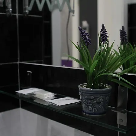 Star Guest house Madrid