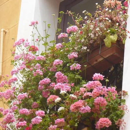 Affittacamere Huespedes Toledo