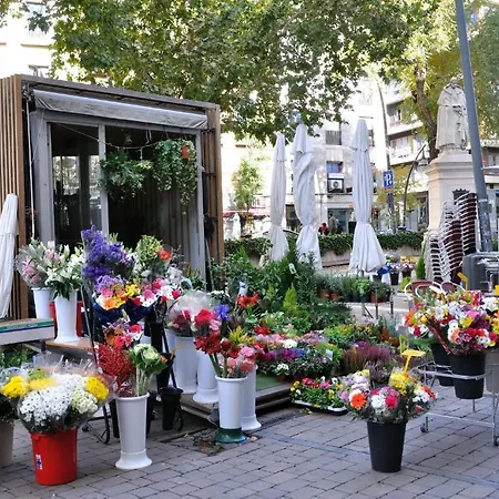 Naranjos I Maison d'hôtes Madrid