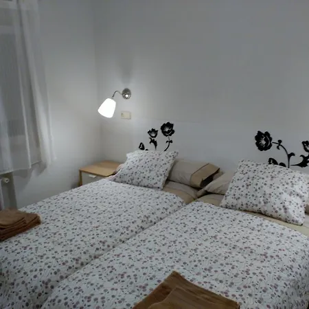 Rent 5 Madrid