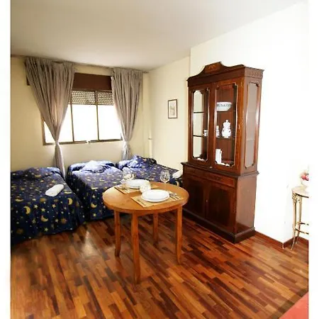 Apartamentos Sleeping In Madrid * Madrid