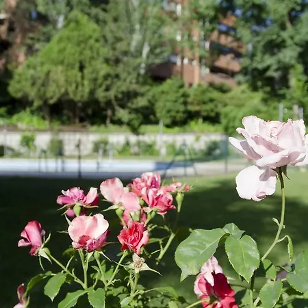 Friendly Mirasierra Apartment