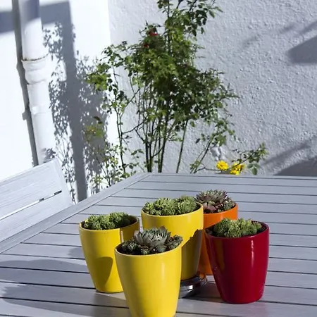 Apartamento El Rastro Madrid