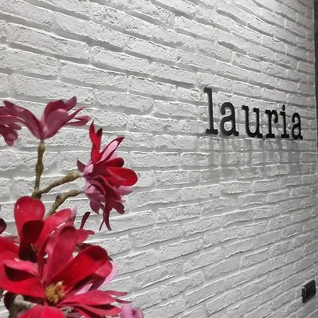 Guest house Lauria Madrid