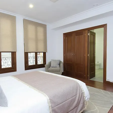 Apartment Fernando Vi Madrid