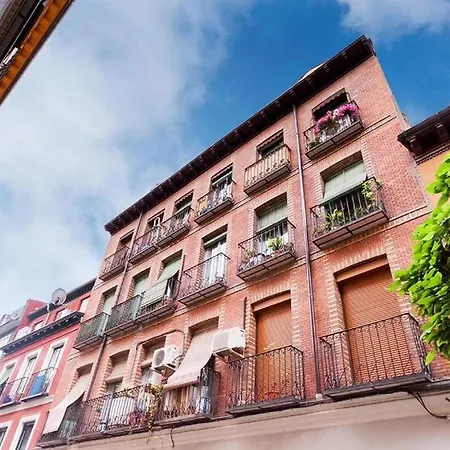 Olivar Madrid