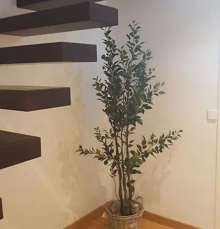 Puerta Del Sol Center Apartment Madrid