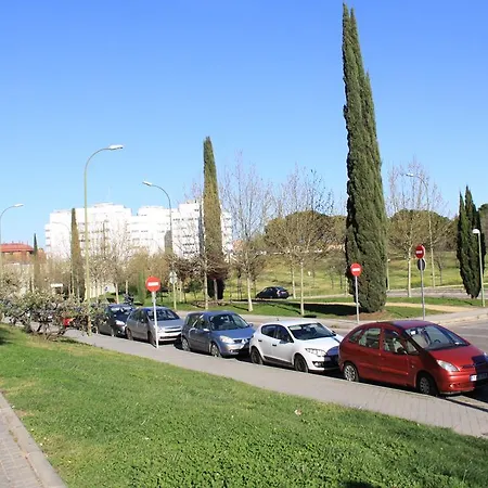 Rent 6 * Madrid