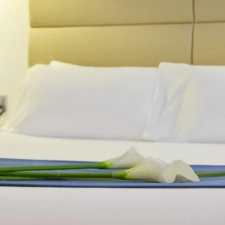 Miau Hotel 3*