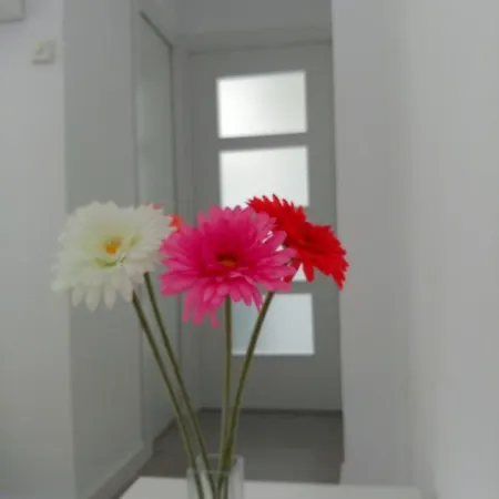Apartment Carabanchel Castizo