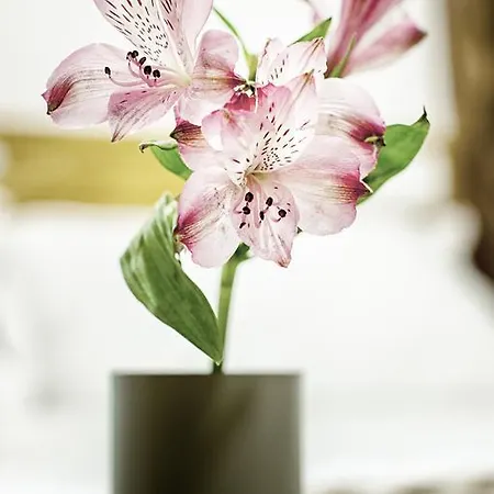 花园精品旅馆 马德里