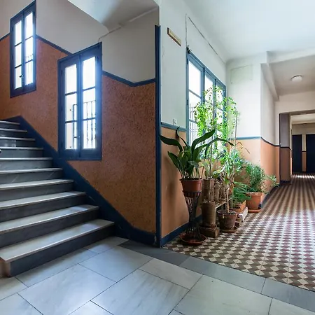 Apartamento Curtidores 33