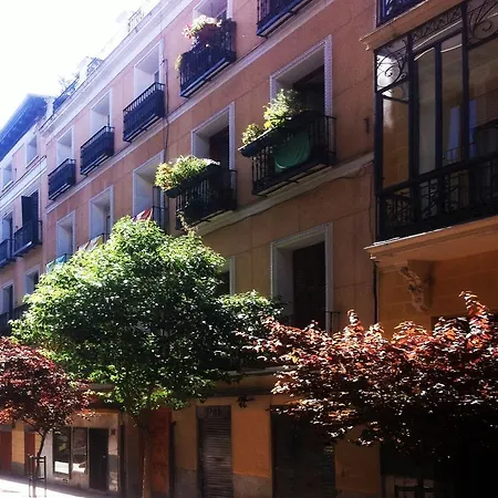 Metropol Madri