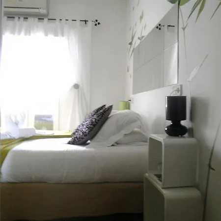 Flat55madrid