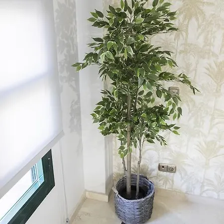 Apartment Tu Hogar En Chamberi Madrid