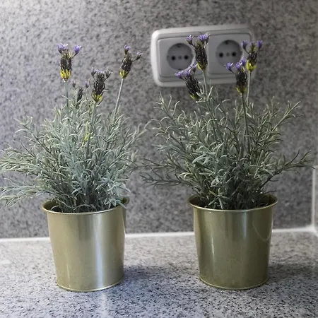 Tu Hogar En Chamberi Appartement *