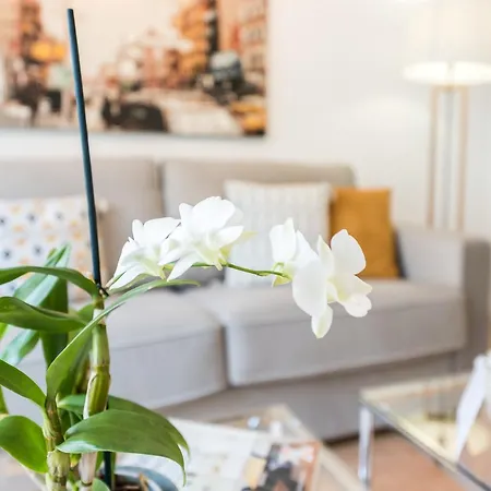 Blasco De Garay City Center Apartment Madrid