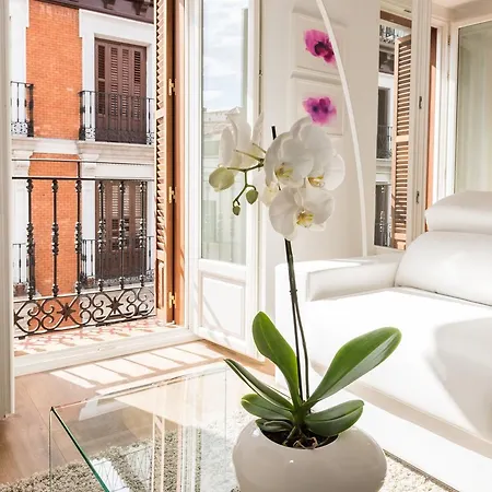 Atocha Boutique - Barrio De Letras * Madrid