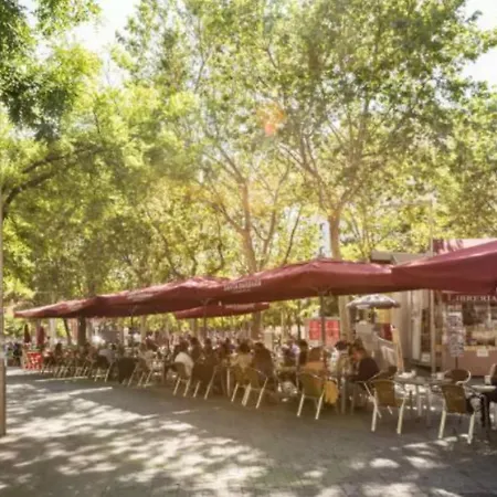 El Descanso De Las Salesas Madrid