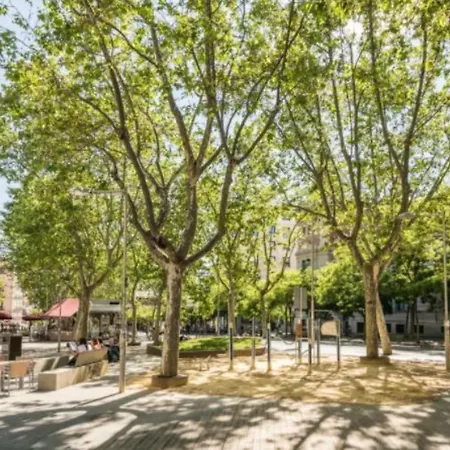 El Descanso De Las Salesas * Madrid