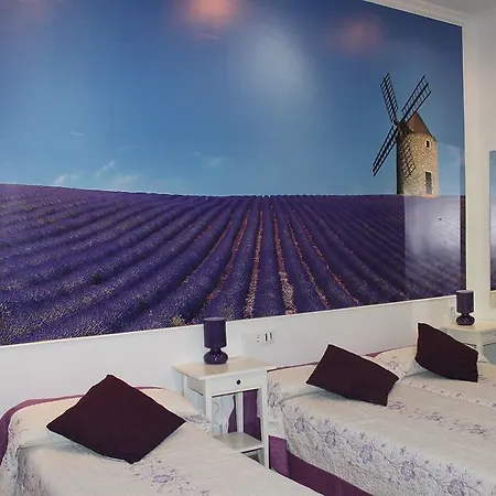A Nuestra Senora De La Paloma 2*
