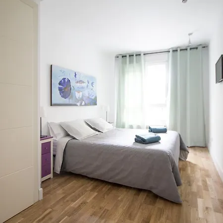 Apartment Apartamento Pacifico Madrid