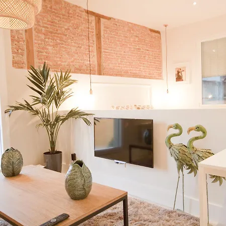 Oasis Ii: Lujo A Pasos Del Prado