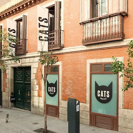 Vandrarhem Cats Sol Madrid