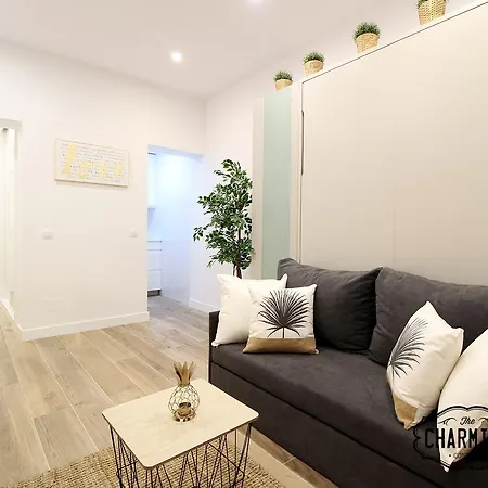 Charming Puerta Del Sol Apartamento *