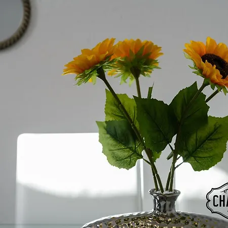 Charming Argensola Center - * Madrid